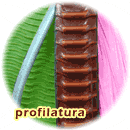 Profilatura