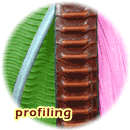 Profile processing machines